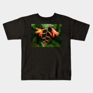 Montbretia Kids T-Shirt